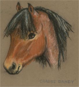 Diana M. Perowne (1934-2020) - 20th Century Pastel, Crabbe Dandy