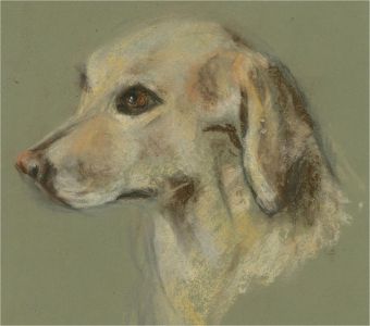 Diana M. Perowne (1934-2020) - 20th Century Pastel, Labrador Retriever