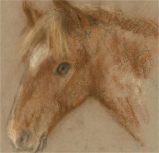 Diana M. Perowne (1934-2020) - 20th Century Pastel, Chestnut with Stripe