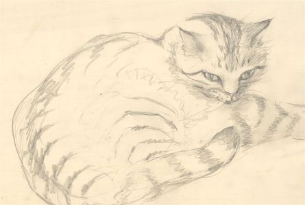 Julie Collino - Set of Five 20th Century Graphite Drawing, Cat Studies