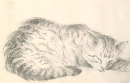 Julie Collino - Set of Three 20th Century Graphite Drawing, Cat Studies