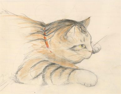 Julie Collino - 20th Century Coloured Pencil, Cat with Birds