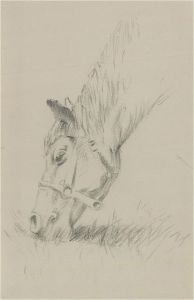Franco Matania (1922-2006) - 20th Century Graphite Drawing, Horse Grazing
