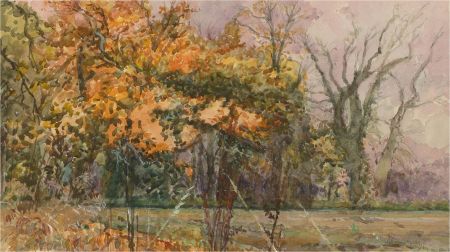 Keith Johnson (1931-2018) - 1993 Watercolour, Autumnal Forest