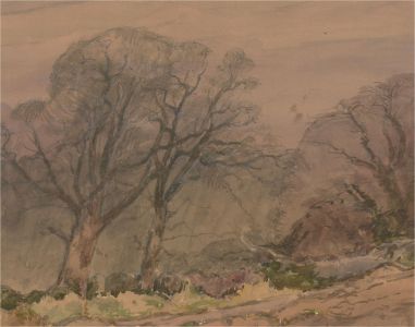 Keith Johnson (1931-2018) - Contemporary Watercolour, Forest