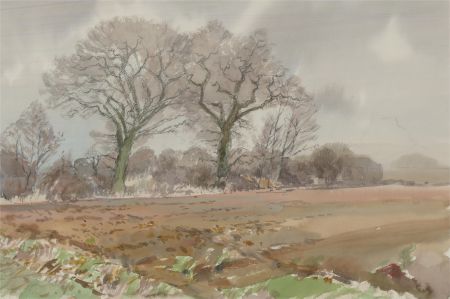 Keith Johnson (1931-2018) - Contemporary Watercolour, Fields and Trees