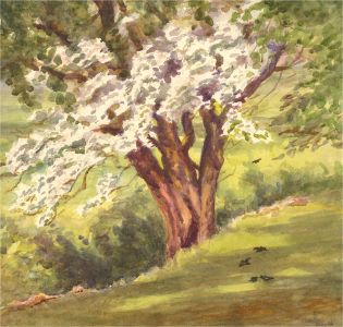 Early 20th Century Watercolour - Various Woodland Scenes