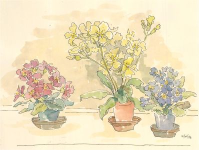 Jill Dickin - 1996 Watercolour, Three Flower Pots