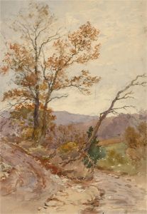 Early 20th Century Watercolour - Woodland Path