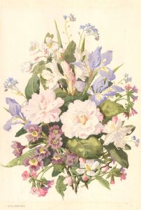 D. Gladstone - 20th Century Watercolour, Floral Bouquet