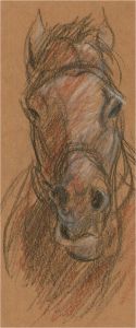 Ronald Olley (b.1923) - 20th Century Charcoal Drawing, A Horse