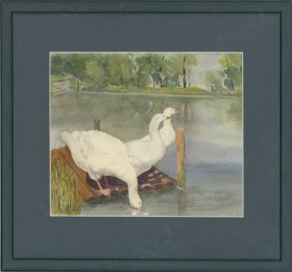 Jean Edmonds - Contemporary Watercolour, Three Geese