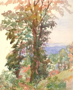 Early 20th Century Watercolour - Tree Study