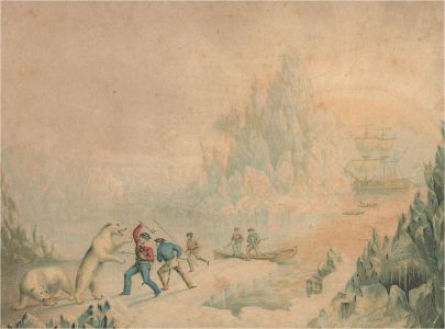 19th Century Lithograph - Fighting Polar Bears in the Arctic