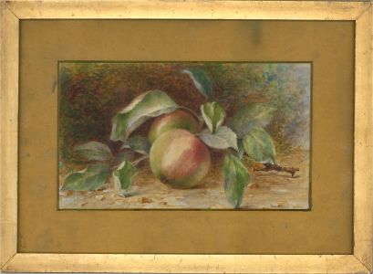 A. Kemp - Early 20th Century Watercolour, Braeburn Apples