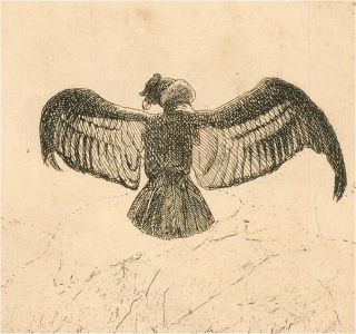 Late 19th Century Etching - Trio Of Ornithological Etchings