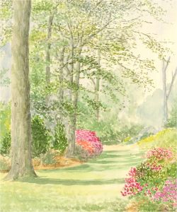 J.A. Pusey - 1992 Watercolour, Hillier Gardens in May