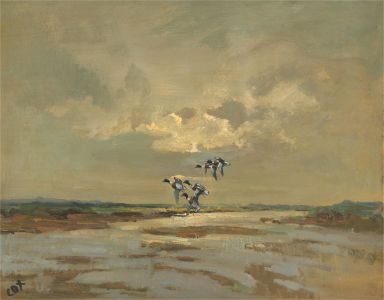 C. O. T.  - 20th Century Oil, Flying Ducks