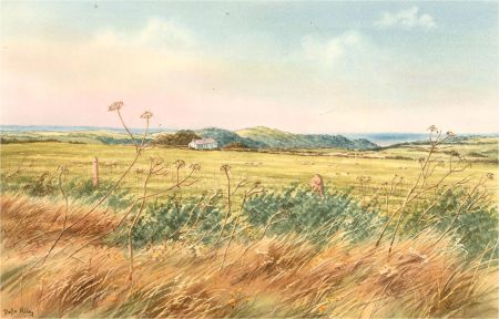 Della Riley - Contemporary Watercolour, Day-O-Peep Farm, Instow
