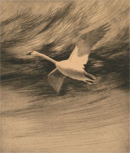 Mid 20th Century Etching - Goose in Flight