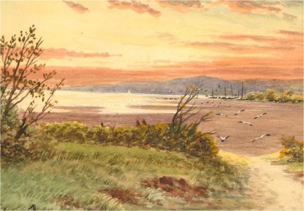 F.B. Ward - Early 20th Century Watercolour, Flying Seagulls