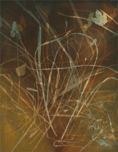 Mid 20th Century Silkscreen - From the Wildflower Meadow