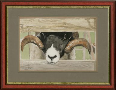 Gordon Metcalfe (b.1935) - Contemporary Watercolour, Swaledale Ram, Yorkshire