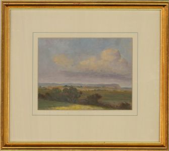 Contemporary Oil - Country View