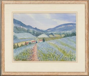 Ann Sparkes - Contemporary Watercolour, Lavender in Provence