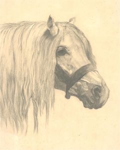 S. B. Hayward - Early 20th Century Graphite Drawing, Weary Pony
