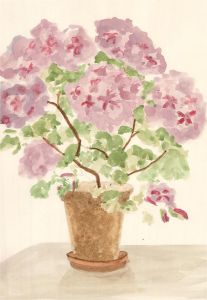 Gwyneth Willitt - Contemporary Watercolour, Floral Study