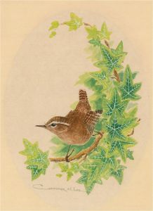 Christopher M. Lee - 1980 Watercolour, Bird on Tree Branch