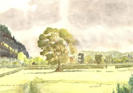 Gwyneth Willitt - Signed Contemporary Watercolour, Conwy Valley