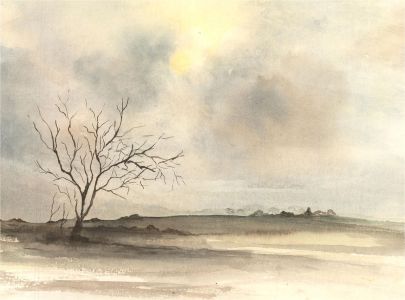 E. Fowler - Contemporary Watercolour, Moonlight