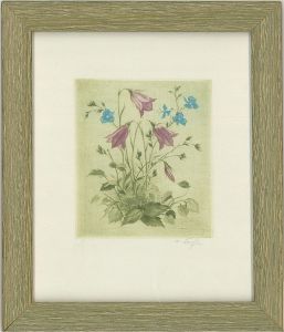 Hans Hofer (1899-1976) - A Pair of Mid 20th Century Aquatints, Floral Studies