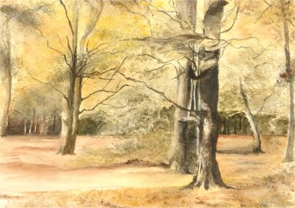 E. Fowler - Contemporary Watercolour, Forest Scene