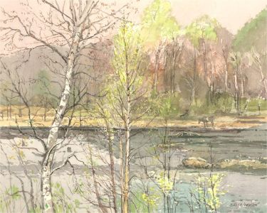 Keith Johnson (1931-2018) - Contemporary Watercolour, Wilderness