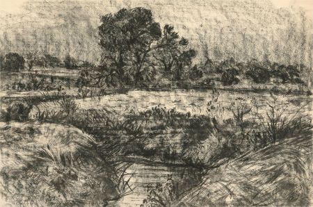 1971 Charcoal Drawing - Trees, Field and Stream