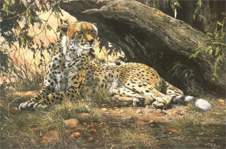 Dorothea Buxton-Hyde - 1990 Giclee, At Rest