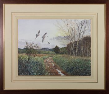 Clifford Knight FRSA (b.1930) - Contemporary Watercolour, Canada Geese