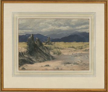 Meredith William Hawes (1905-1999) - 1992 Gouache, Driftwood