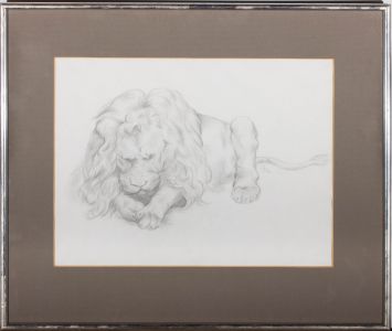 1976 Graphite Drawing - Lion Study