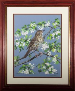 J. Keller - Mid 20th Century Watercolour, Young Thrush On Hawthorn