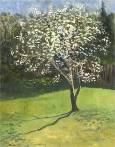 Gordon Metcalfe (b.1935) - Contemporary Oil, Blossoming Tree