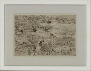 20th Century Etching - Mallards