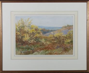 Albert Kinsley RI RBA (1852-1945) - Early 20thC Watercolour, Summer Undergrowth