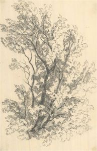 A Set of Four  Early 19th Century Graphite Drawing - Tree Studies