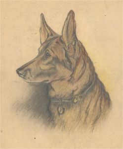 S. S. Leight-Hunt - 1945 Graphite Drawing, Blondi