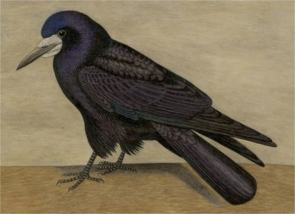 A. Twinning - 20th Century Watercolour