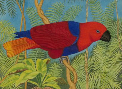A. Twinning - 1962 Watercolour, Red Sided Parrot In The Jungle
